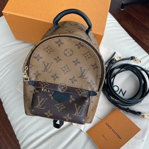 Louis Vuitton Palm Springs Mini Backpack
